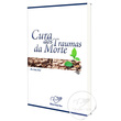 LIVRO A CURA DOS TRAUMAS DA MORTE
